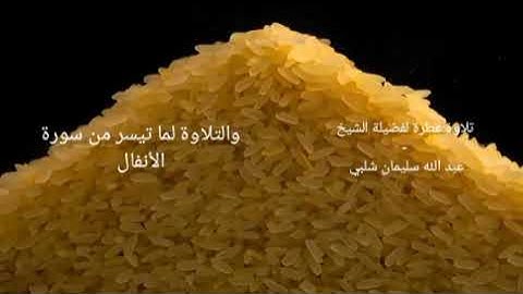 قرآن كريم الشيخ عبد الله سليمان شلبي يتلو من سورة الأنفال قرآن الظهر