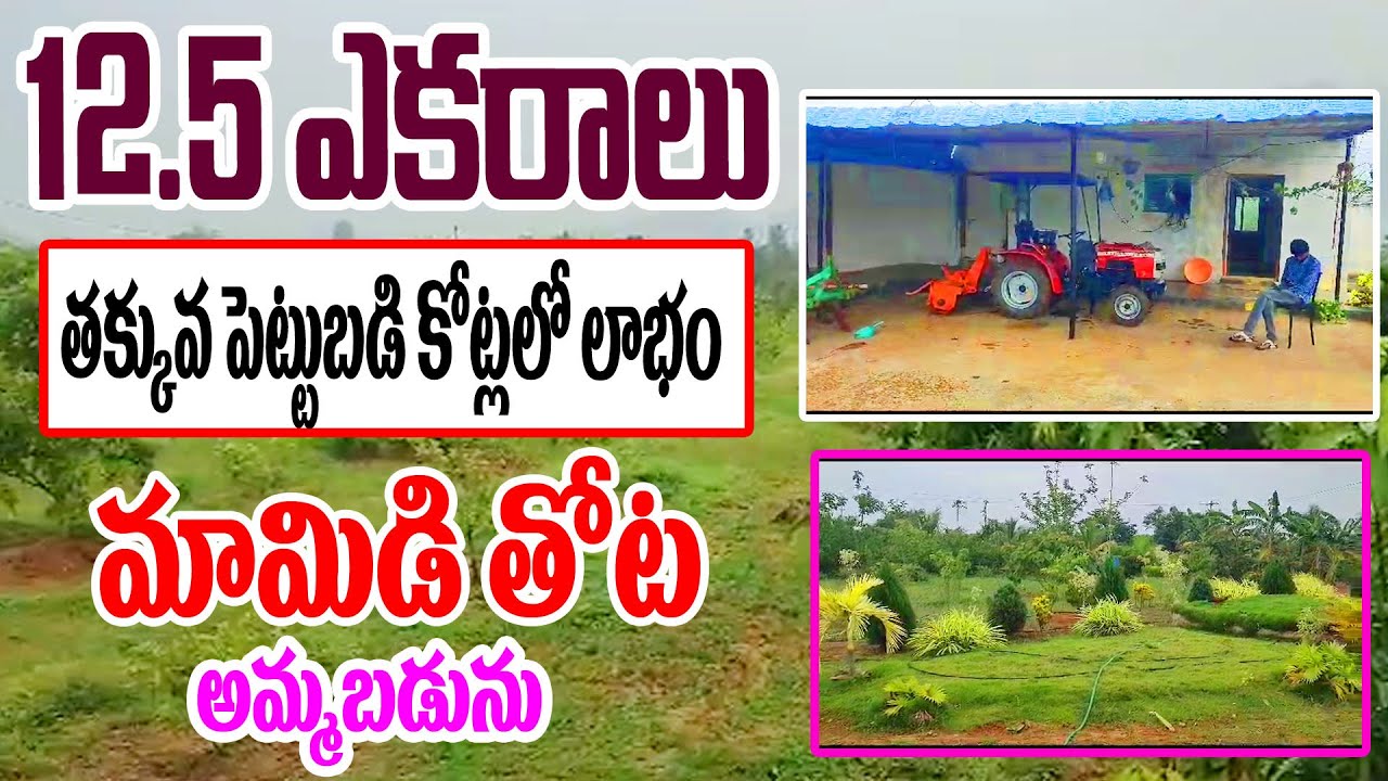 12 Acre 50 Cents Land For Sale In Vizianagaram Agricultural Property