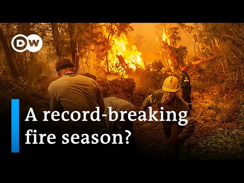 Wildfires rage in Greece, Turkey and Algeria | DW News