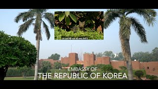 Korean Embassy In India Invitation To Korean Embassy In New Delhi Feat Embassy Cat