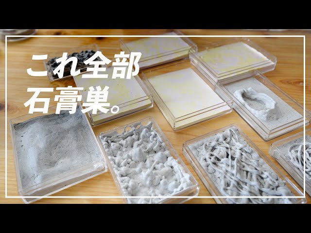 アリの石膏巣 試作品 アリ飼育用石膏巣の新しい考え方「創作石膏巣」を楽しもう!【試