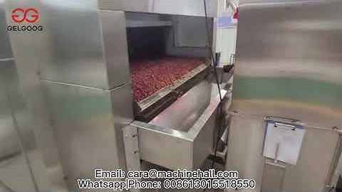 2021 Peanut Roasting Production Line From Cara@machinehall.com 008613015518550
