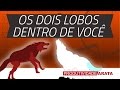 Os dois lobos dentro de você | Produtividade Arata 32