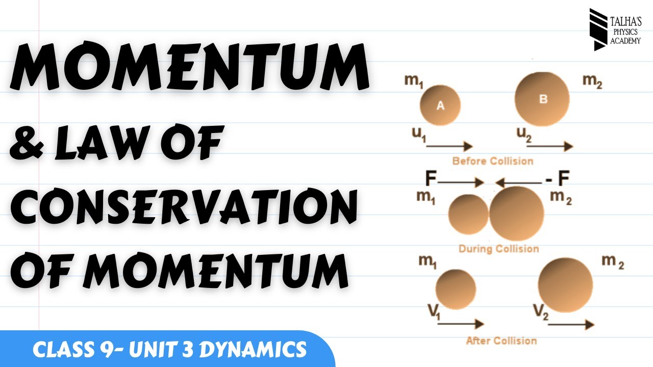 Momentum Law Of Conservation Of Momentum Class 9 Physics Unit No3