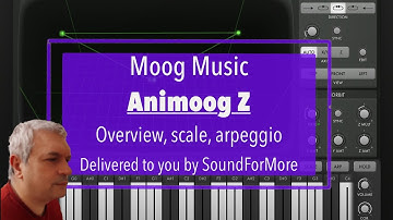 Moog Music Animoog Z - Tutorial Part 2: layout, presets, scale and keyboard settings