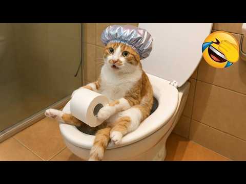 You Laugh You Lose 😂 Top Funny Cats and Dogs 2026 😺🐶 Part 3
