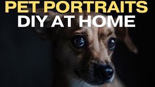 Unleash Your Inner Photographer: Create Frame-Worthy Pet Portraits at Home