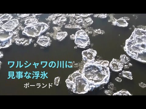 ワルシャワの川に見事な浮氷、温暖化で頻度は減少　ポーランド