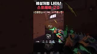 스프레이 고수