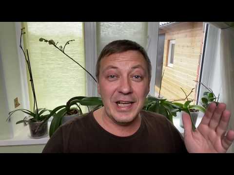 ЦВЕТОНОС ОРХИДЕИ растёт - можно ли вертеть орхидею и НЕ срезать старый цветонос