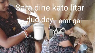 Sara dine kato litar dud dey amar gai 🐄🥛 Tomader  ke khule bollam 🐄