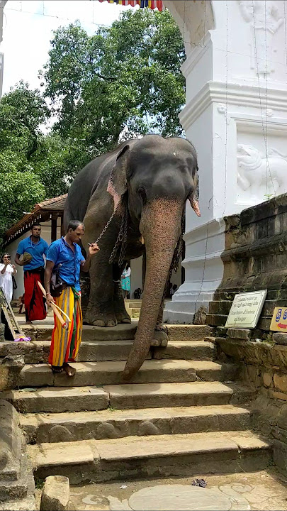 හෙමීට බහිමු නේද අයියේ  ❤️💫
