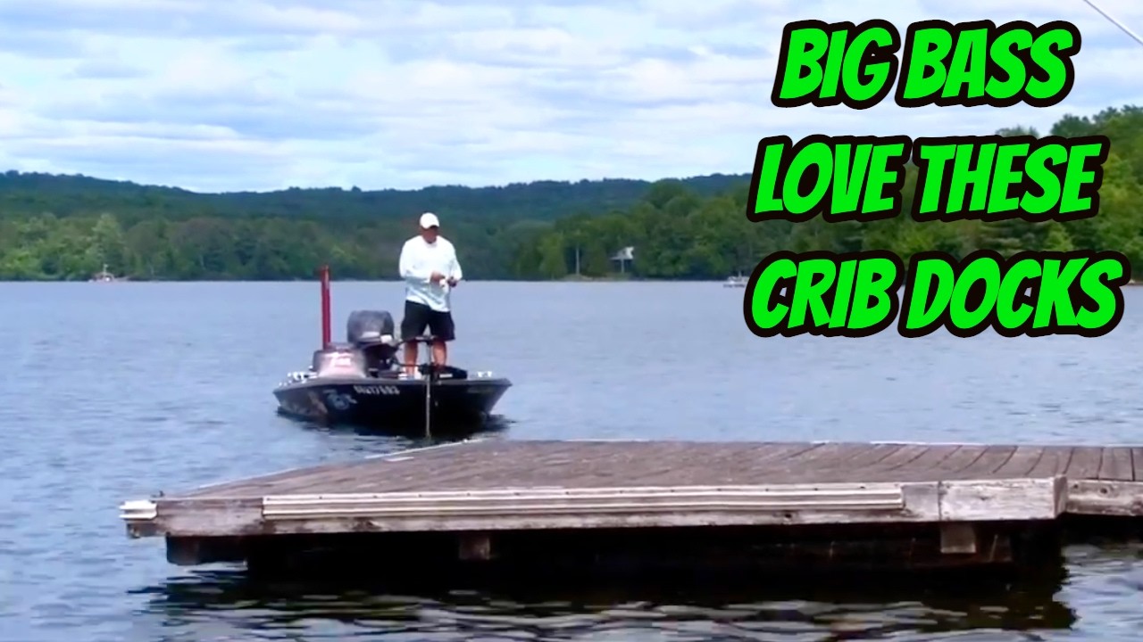 BIG LARGEMOUTH BASS LOVE CRIB DOCKS- How to catch big bass