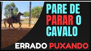 Como parar o cavalo certo . Como fazer o cavalo parar na hora . O que fazer pra parar o cavalo?