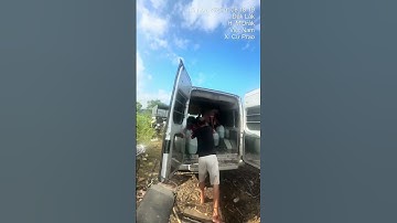 Cá thác lác giống. Cá nàng hai giống. 0909770509 #cá_giống #trại_cá_giống_út_me #traicagiong