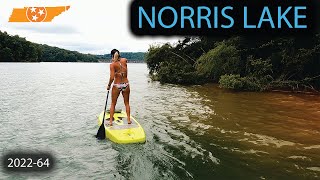 Paddle Boarding And Exploring The Best Lake In Tennessee  Norris Lake || 202264