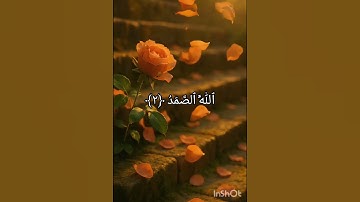 #اكسبلور #قرآن #القرآن_الكريم #سورة_الإخلاص #لايك