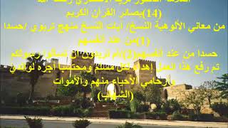 سلسلة بصائر القرآن الكريم (14) العلامة الدكتورفريد الأنصاري (رحمه الله)