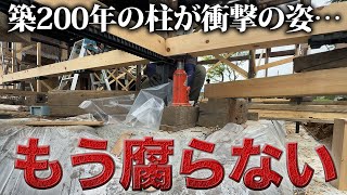 【衝撃】築200年の柱を取り替えると大量の〇〇の住処だった…【450日目】