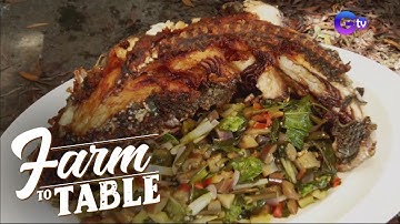 Farm To Table: Fried tilapia with a twist!