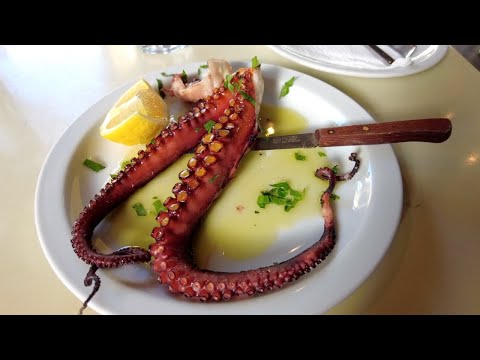 GREEK GRILLED OCTOPUS