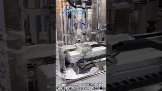 Fully Automatic Glass Bottle Double Head Capping Machine, Cumin Seed Bottle Screw Capper Equipment