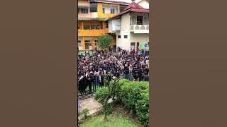 MOONBEAM reggae dansa fafafa live