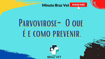 Como prevenir a parvovirose canina?