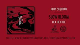 Watch Slow Bloom Neon Sequitor video