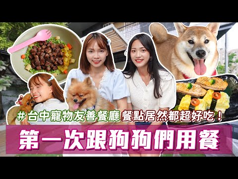 第一次跟狗狗一起吃日本料理🐶 毛小孩也能吃的超萌雞蛋糕？結合美容住宿的寵物友善餐廳！