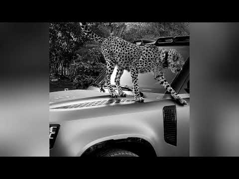 Lili Dakelot Music қазақша ән 2024