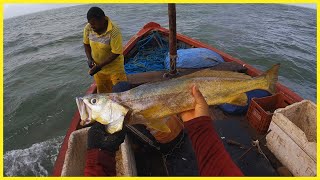 Vida do Pescador em Alto Mar: Muita Fartura na Pescaria em Alto Mar!