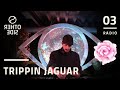 Ref:Q4zwCe4D-14 Trippin jaguar // the other side radio // rhythm session 005