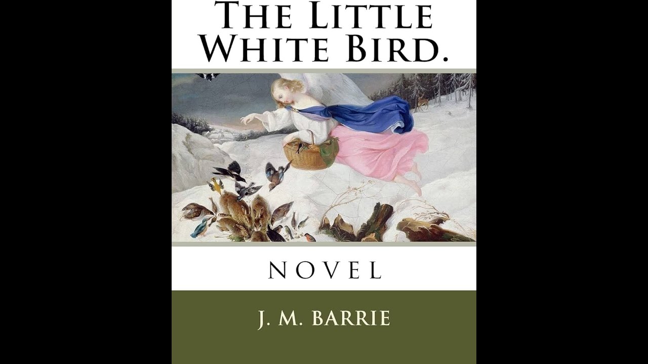 White Bird Book Summary Activity