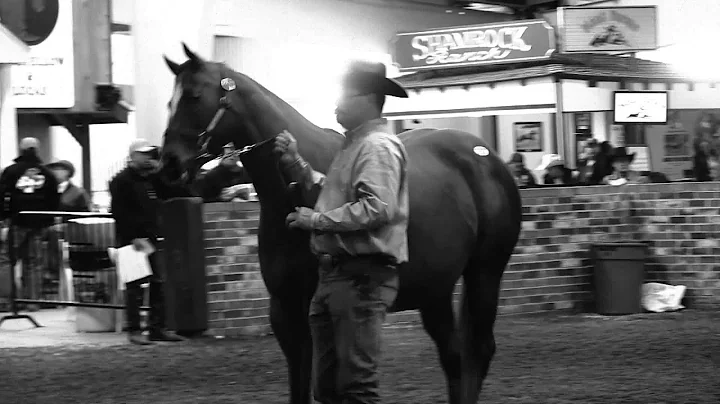 '15 Heritage Place Winter Mixed Sale Coverage: Epi...