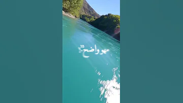 حالة واتس صاحبي من غبائه راح قال لحبيبتي انا عشقك يعني هو عارف انها عايزاك بتحبك اه عارف و ناسي 
