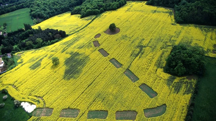 La Gabriel-Composit...  agricoles - Meru - Jean Pa...