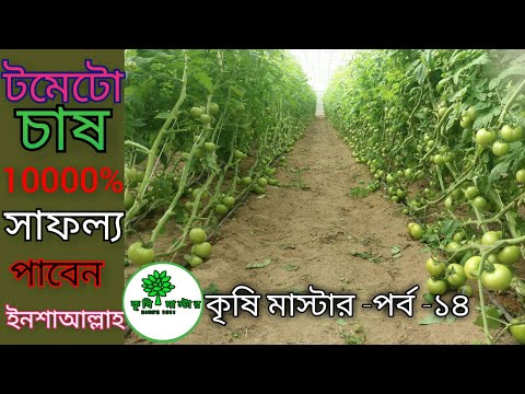 ভিডিও: ক্যাসকো বীমা নিয়ম। কিভাবে একটি 