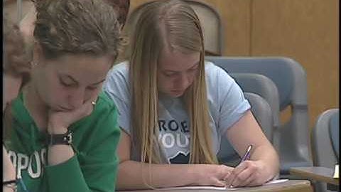 Collaborative Learning Case Study: Janet Young (Short Version)