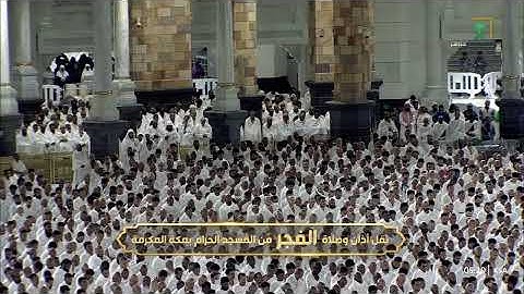 هدوء الفجر مع تلاوة رائعة تحبيرية من الشيخ بندر بليلة | فجر 16 ربيع الآخر 1447هـ