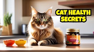 How to Keep Your Cat Healthy