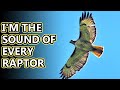 Red Tailed Hawk facts: more familiar than you think | Animal Fact Files