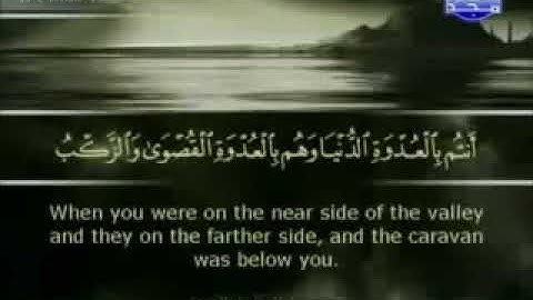 سورة الأنفال كاملة الشيخ أبو بكر الشاطري .