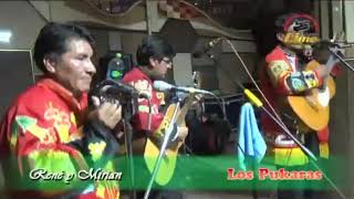 Video thumbnail of "DAVID PUKARA- mix de huayños en vivo          cel.79148260"