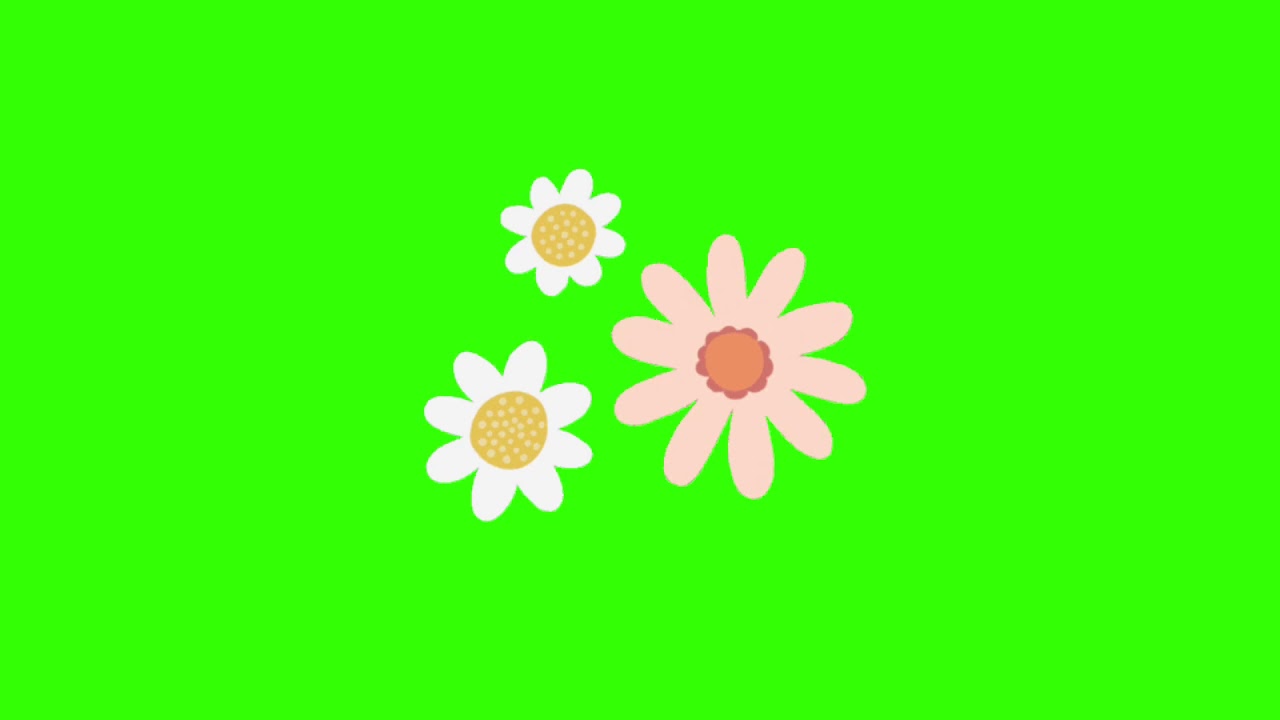 Aesthetic Flower Overlay Stickers Green Screen - YouTube