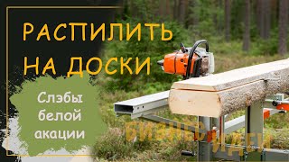 Белая акация Слэбы