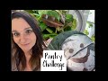 Pantry challenge easy delicious pantry cooking threeriverschallenge