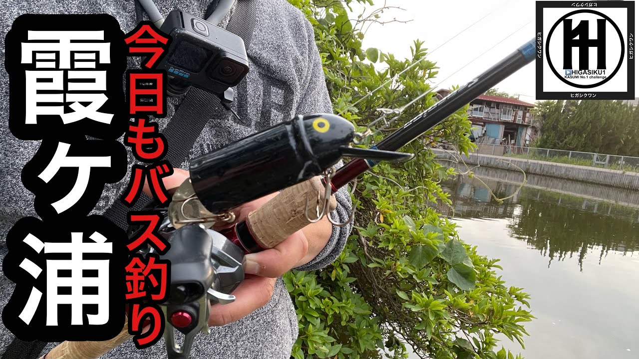 Bass Fishing at Lake Kasumigaura! Buzzbaits in the Morning, Bads