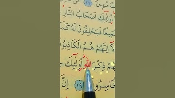 سورة المجادلة الأية 18 إلى 21 القارئ سعد الغامدي