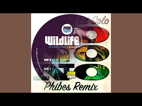 No No No V2 (You Don't Love Me) (MURDAR Mix) (Ed Solo & Deekline x Phibes)